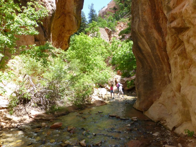 Kanarra Creek Slot Canyon Utah