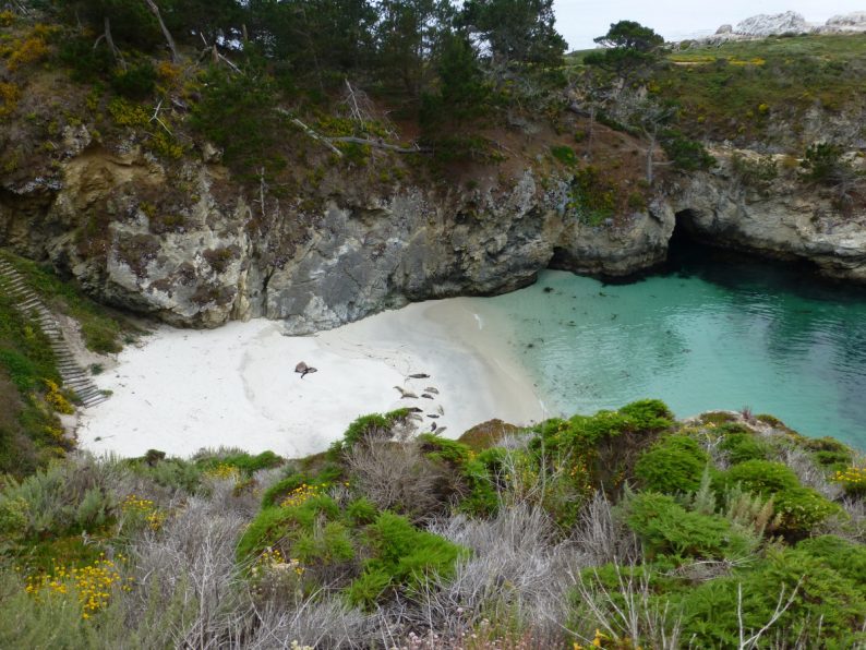 Point Lobos Natural Reserve