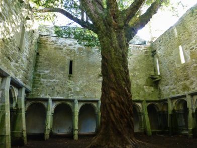 Muckross Abbey, parc National de Killarney
