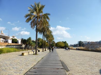 les bords du Guadalquivir, Séville