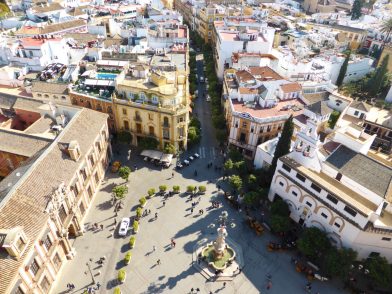 vue depuis la giralda, cathédrale de Séville