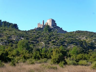Le castellas de Roquemartine, Eyguières